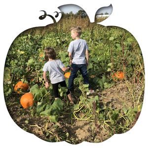 Meet your Posher, Megan daniel